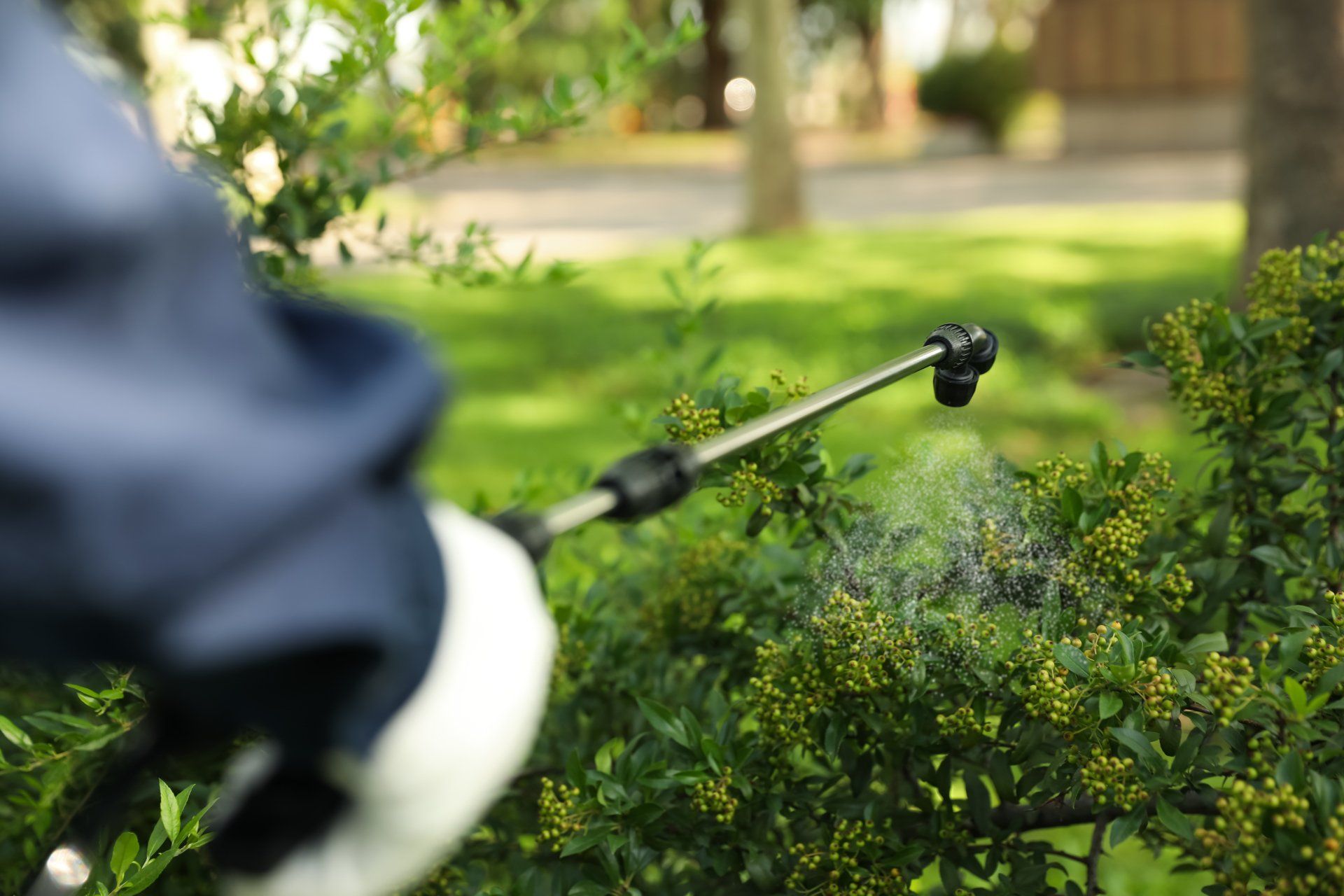 How Pests Find Homes in Winter Season- A Better Exterminators How Pests Find Homes in Winter Season- A Better Exterminators