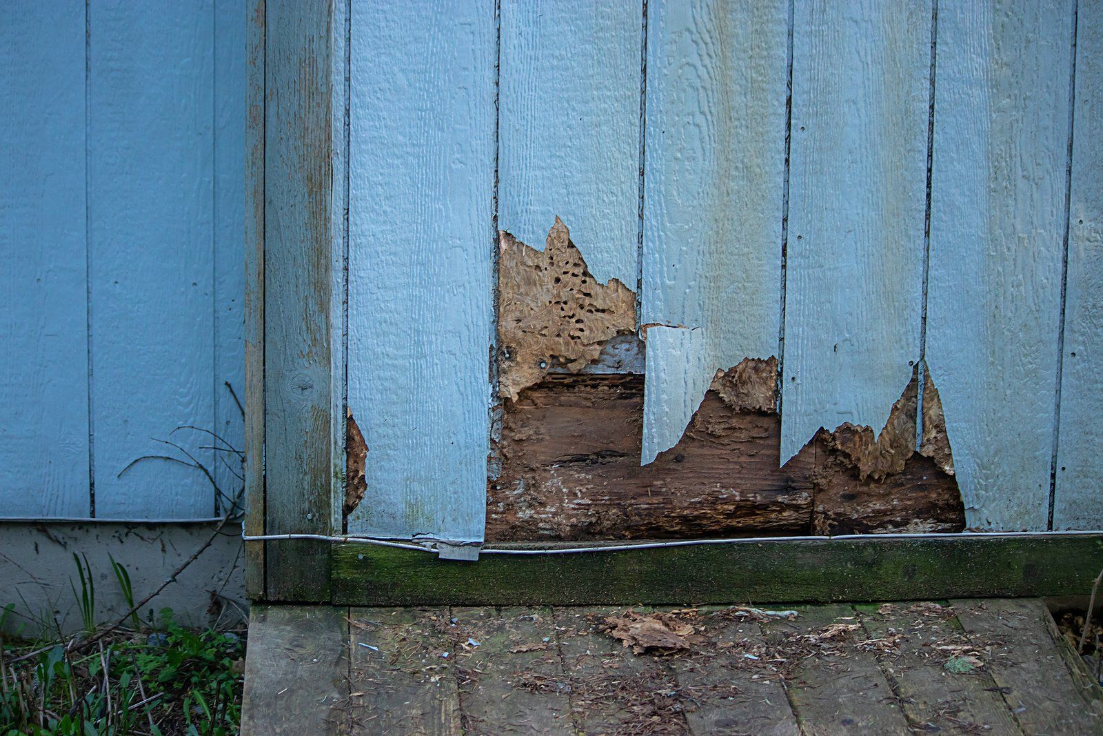 Termite Inspection and Control Service in Oklahoma City, OK Termite Inspection and Control Service in Oklahoma City, OK