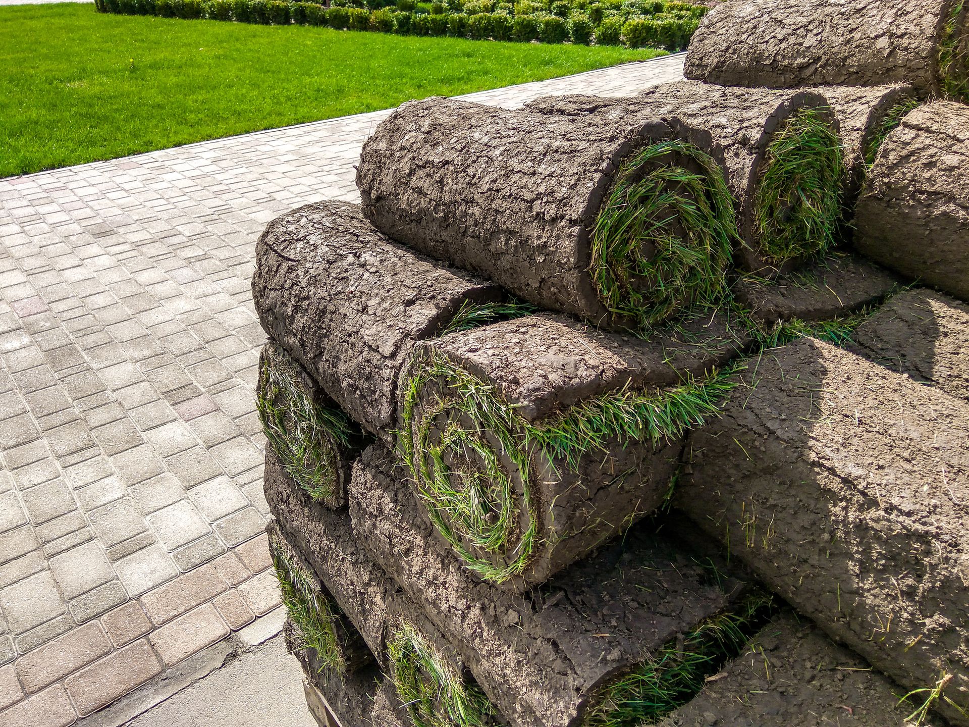 Rolled green turf sod stacked on a paved path beside a lawn