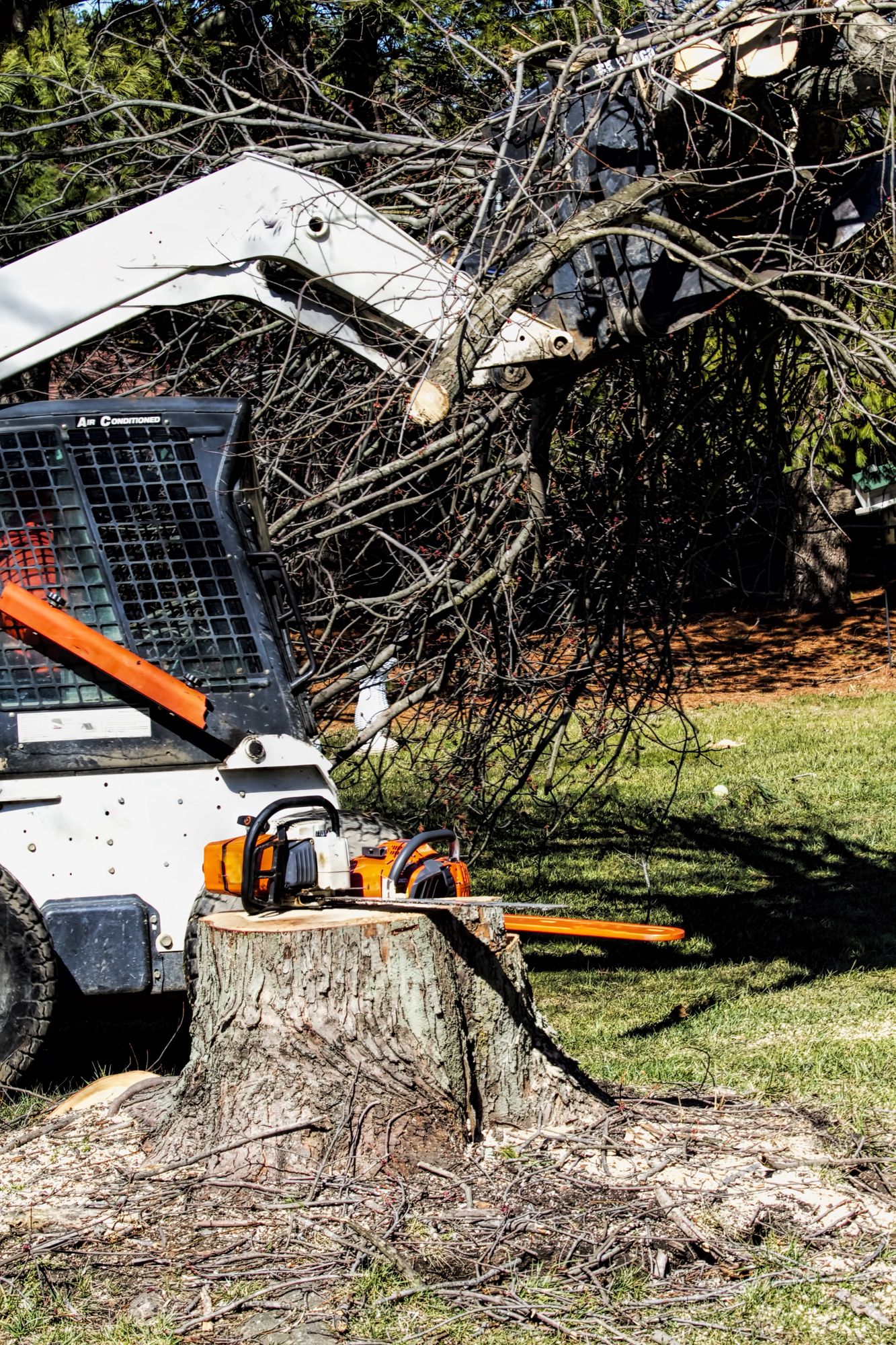 Excavator arm cutting tree branches beside a tree stump in a yard