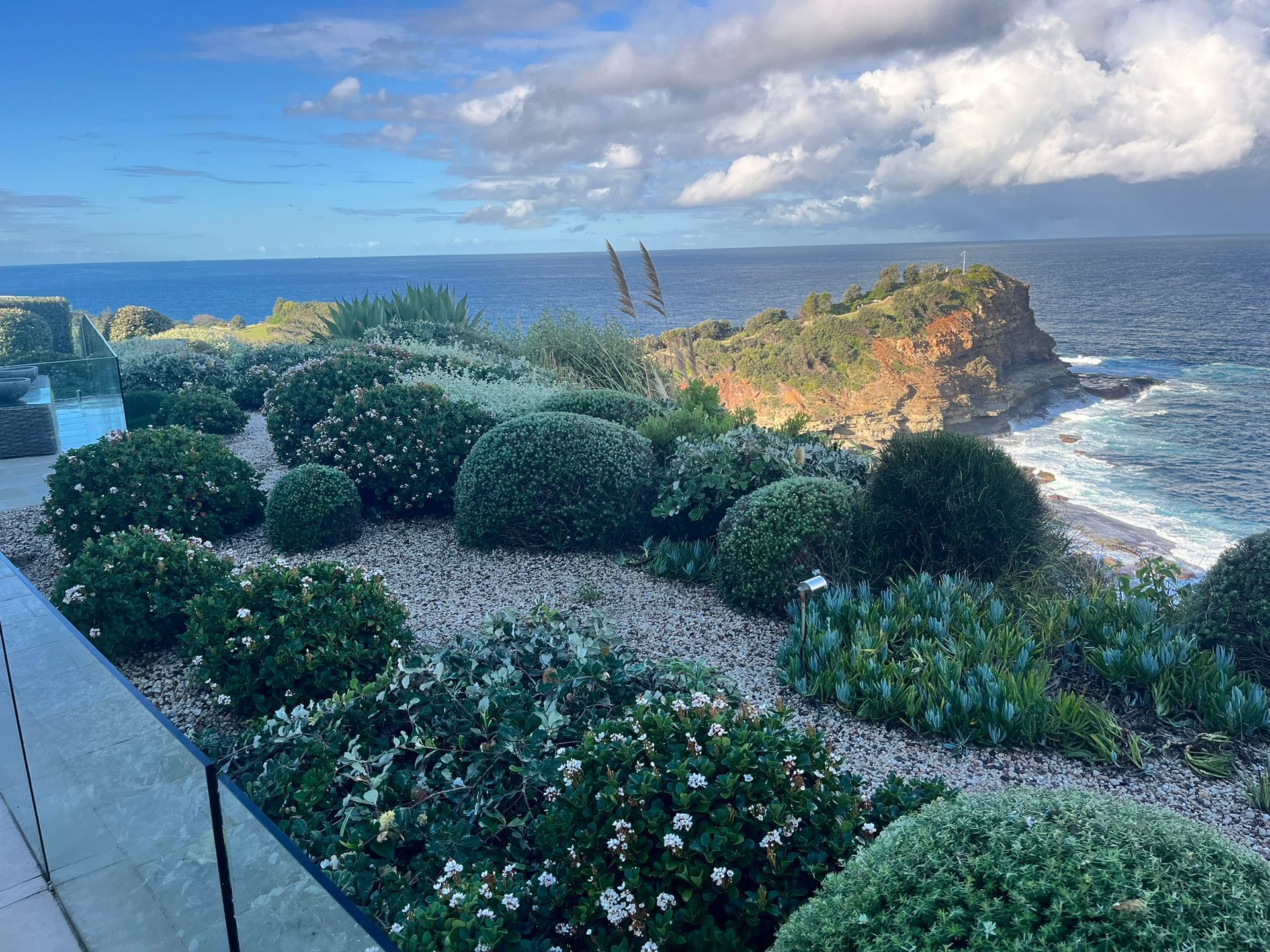 Coastal garden with rounded shrubs and white flowers overlooking a rocky ocean cliff under a blue sky — Divine Landscape Creations in Berkeley Vale, NSW