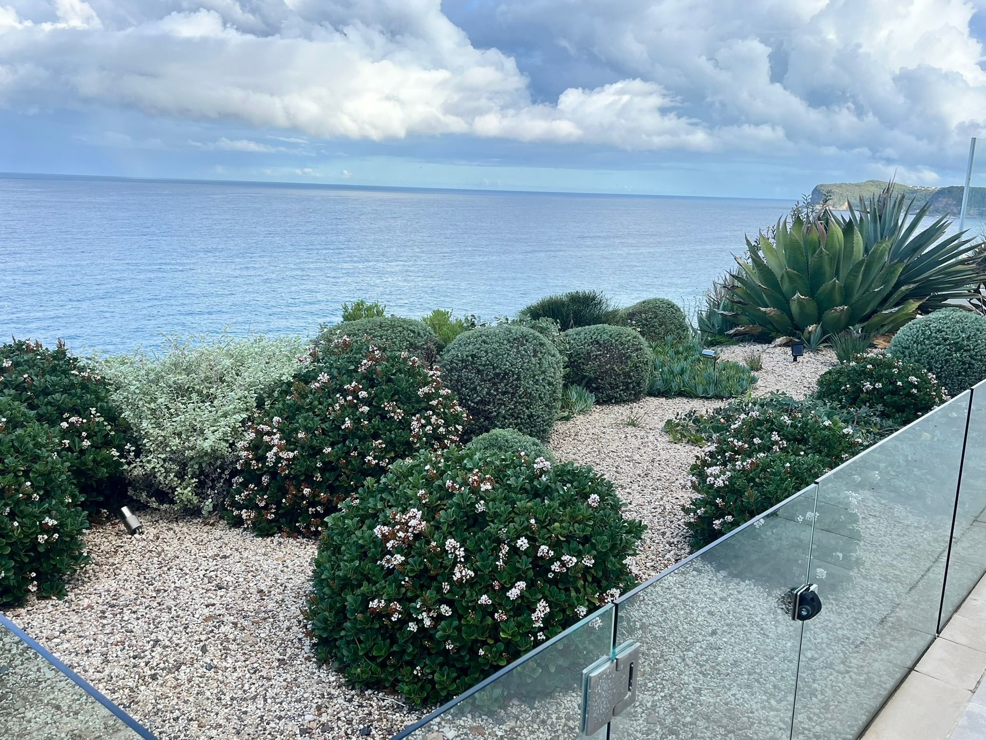 Coastal garden with shrubs and a glass railing overlooking the ocean under cloudy skies — Divine Landscape Creations in Berkeley Vale, NSW