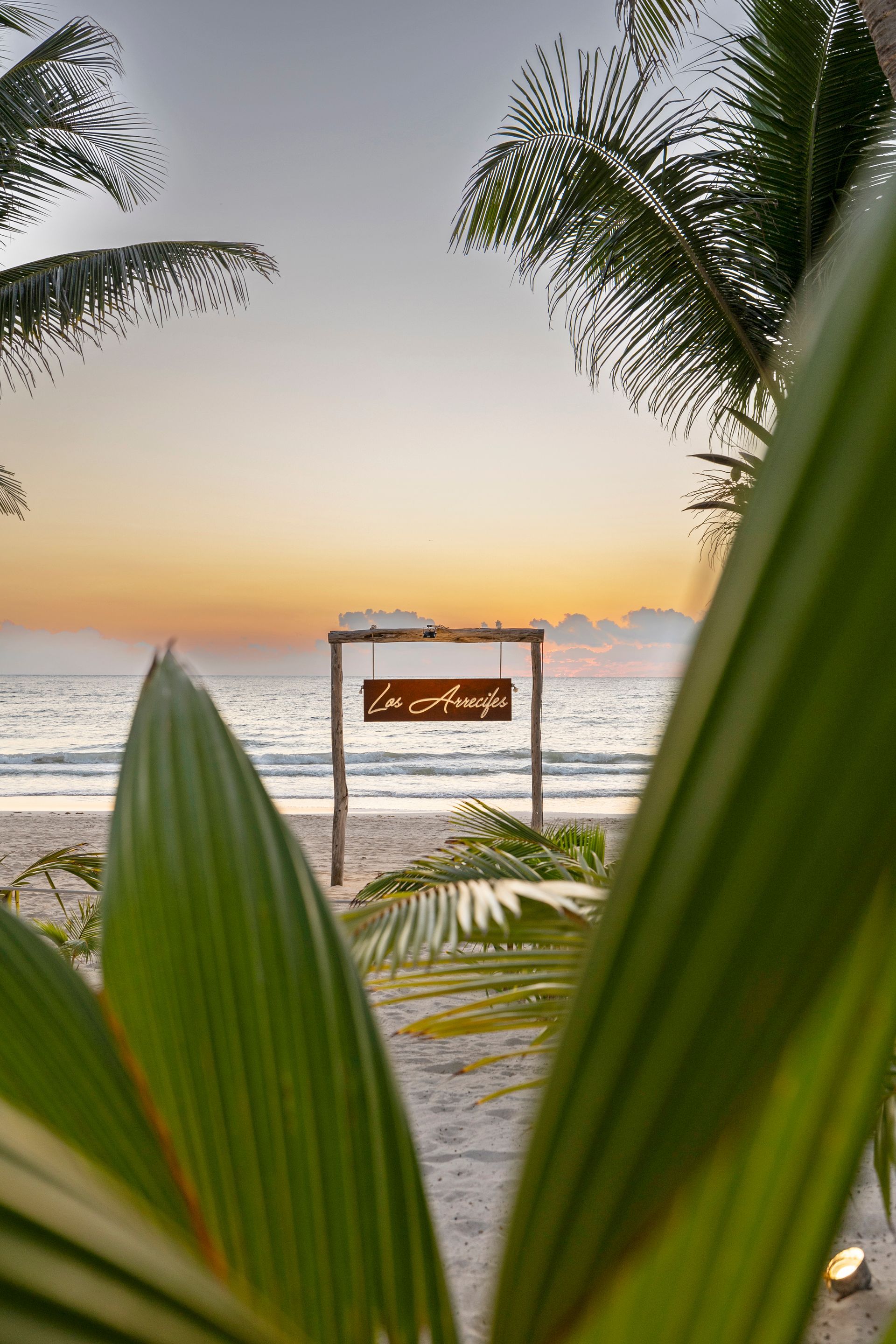 Beach scene at sunset, sign in front, palm fronds framing view.