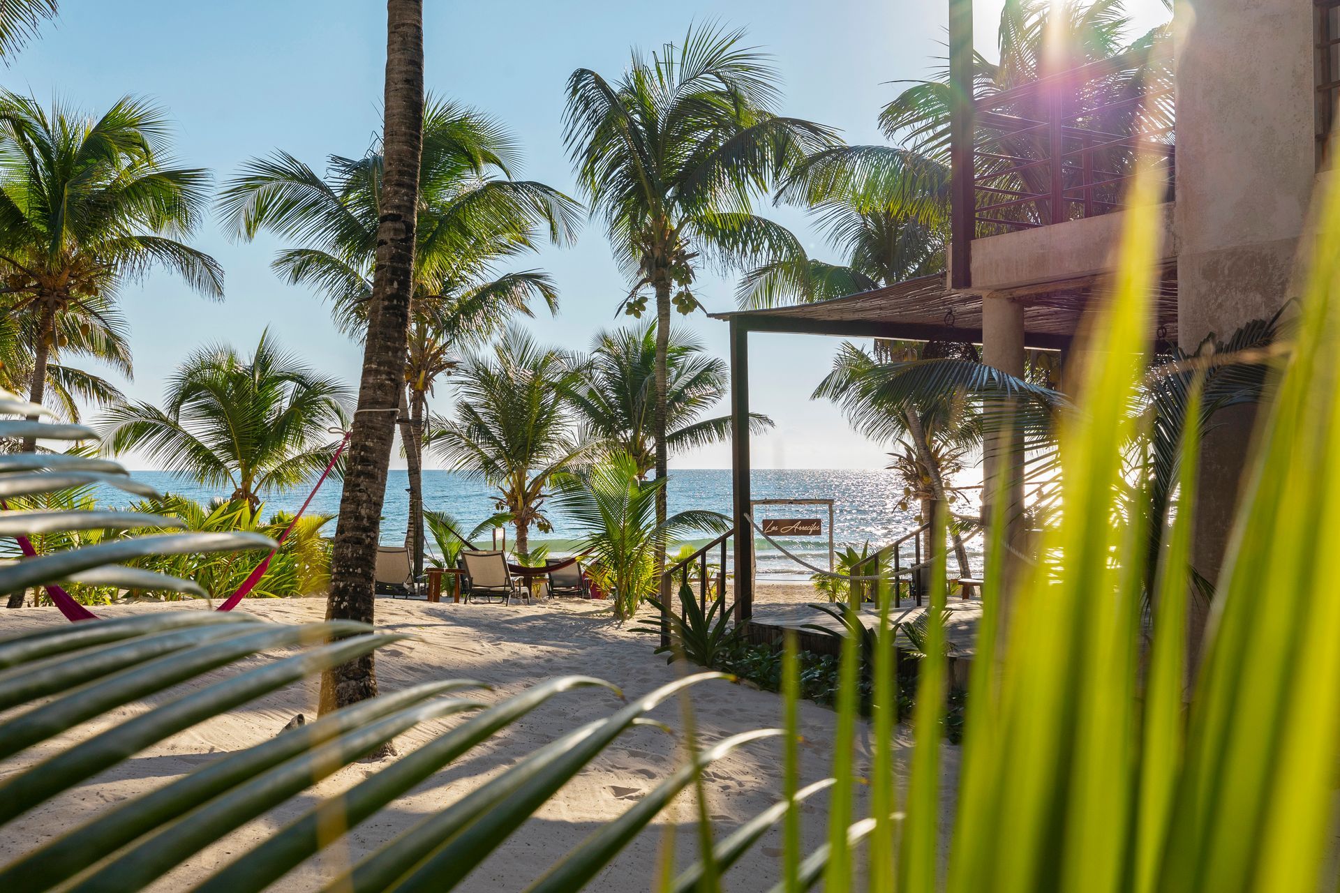 Sandy path to ocean framed by palm trees and foliage. Bright sunny day.