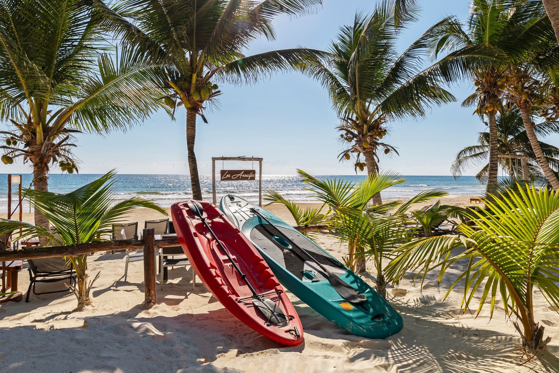 Two kayaks lean on a sandy beach, framed by palm trees and ocean views.