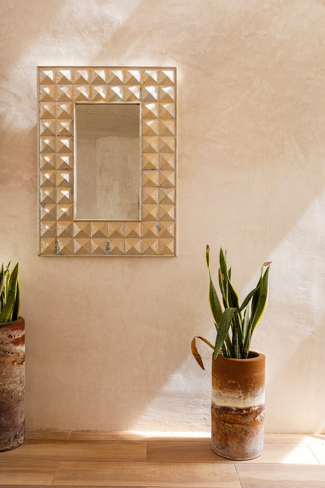 Mirror on stucco wall, flanked by potted snake plants; warm sunlight.