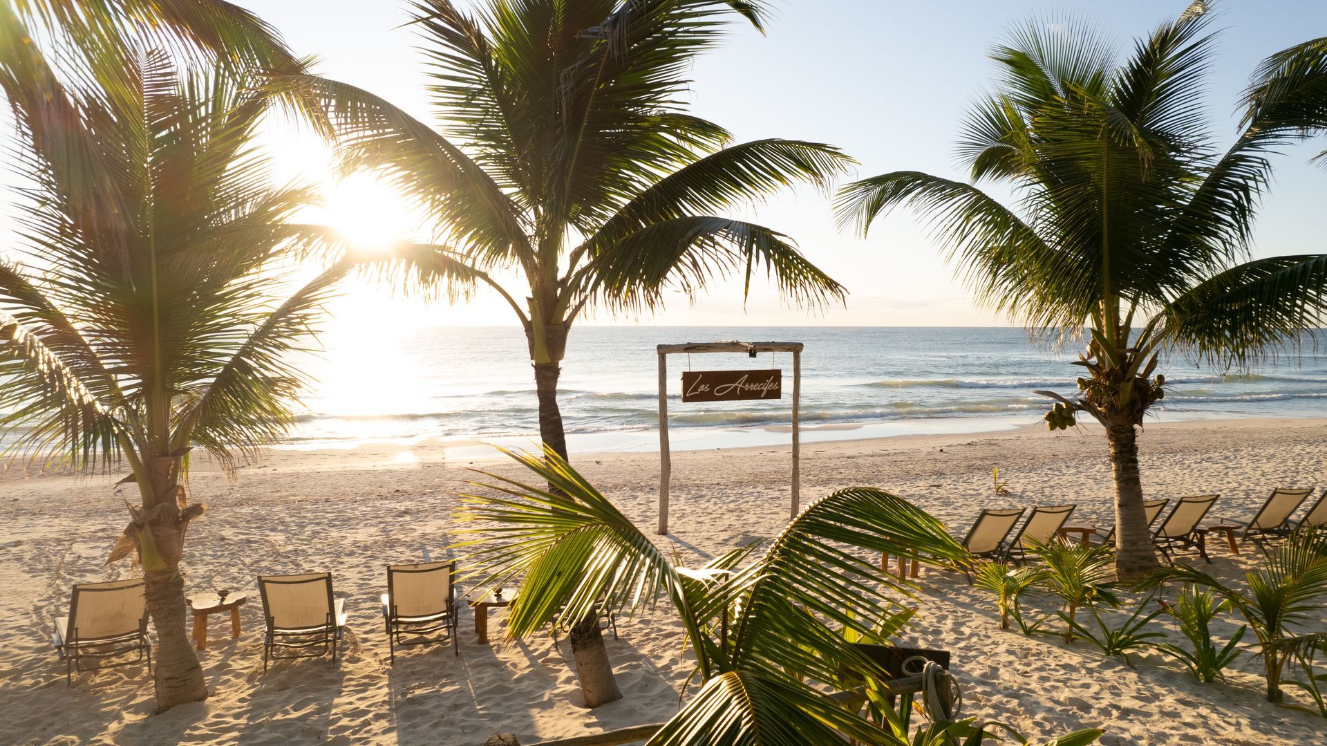 Beach scene with palm trees, lounge chairs, and ocean in the background. Sign stands in sand.