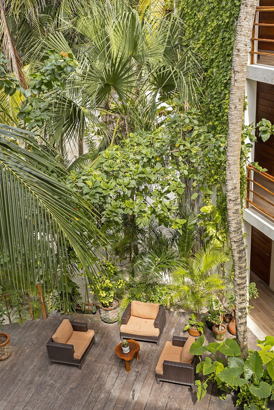 Outdoor seating area surrounded by lush greenery. Brown chairs, wooden deck, small table, tall plants.