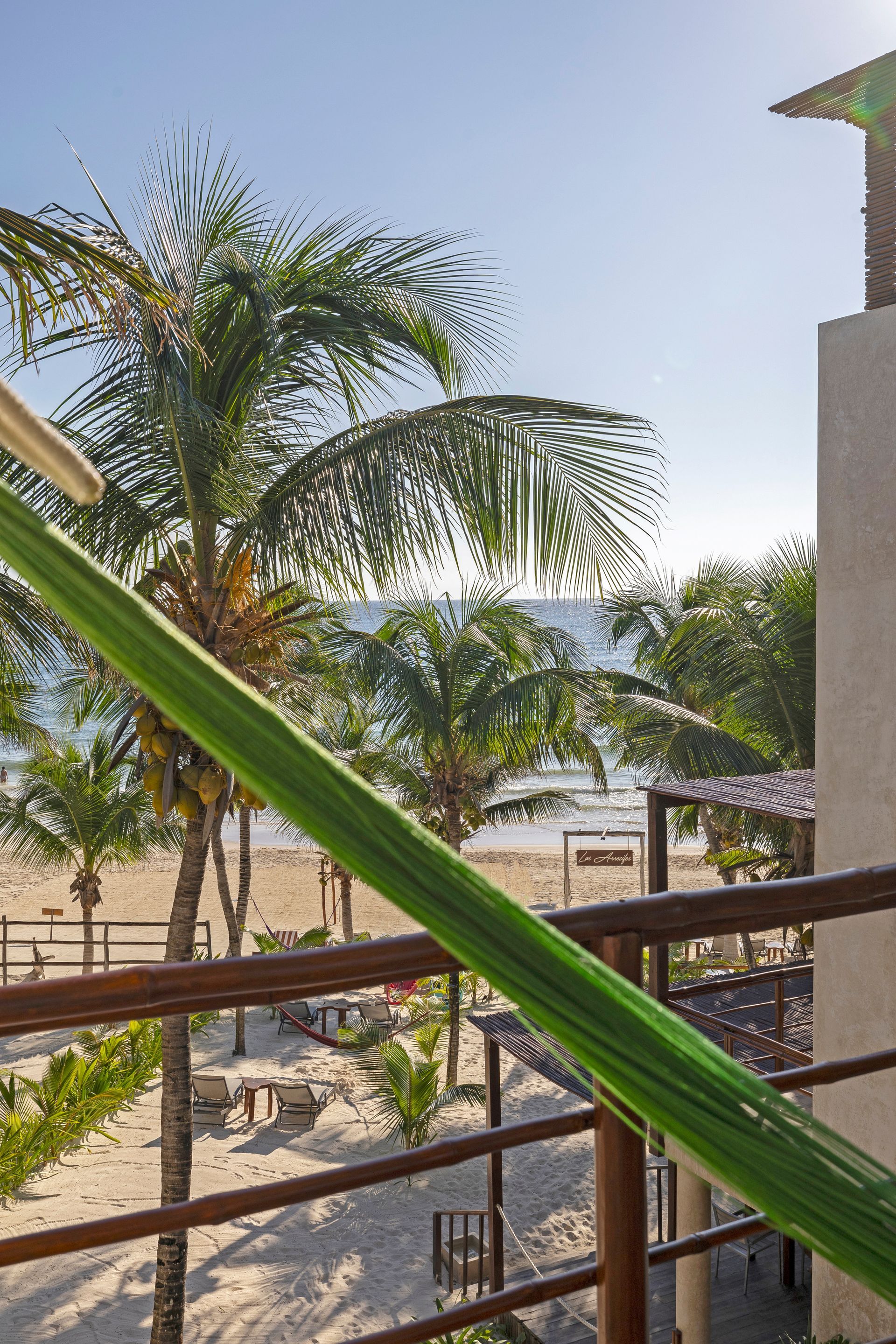 View from balcony: green hammock, palm trees, beach, ocean under bright sun.