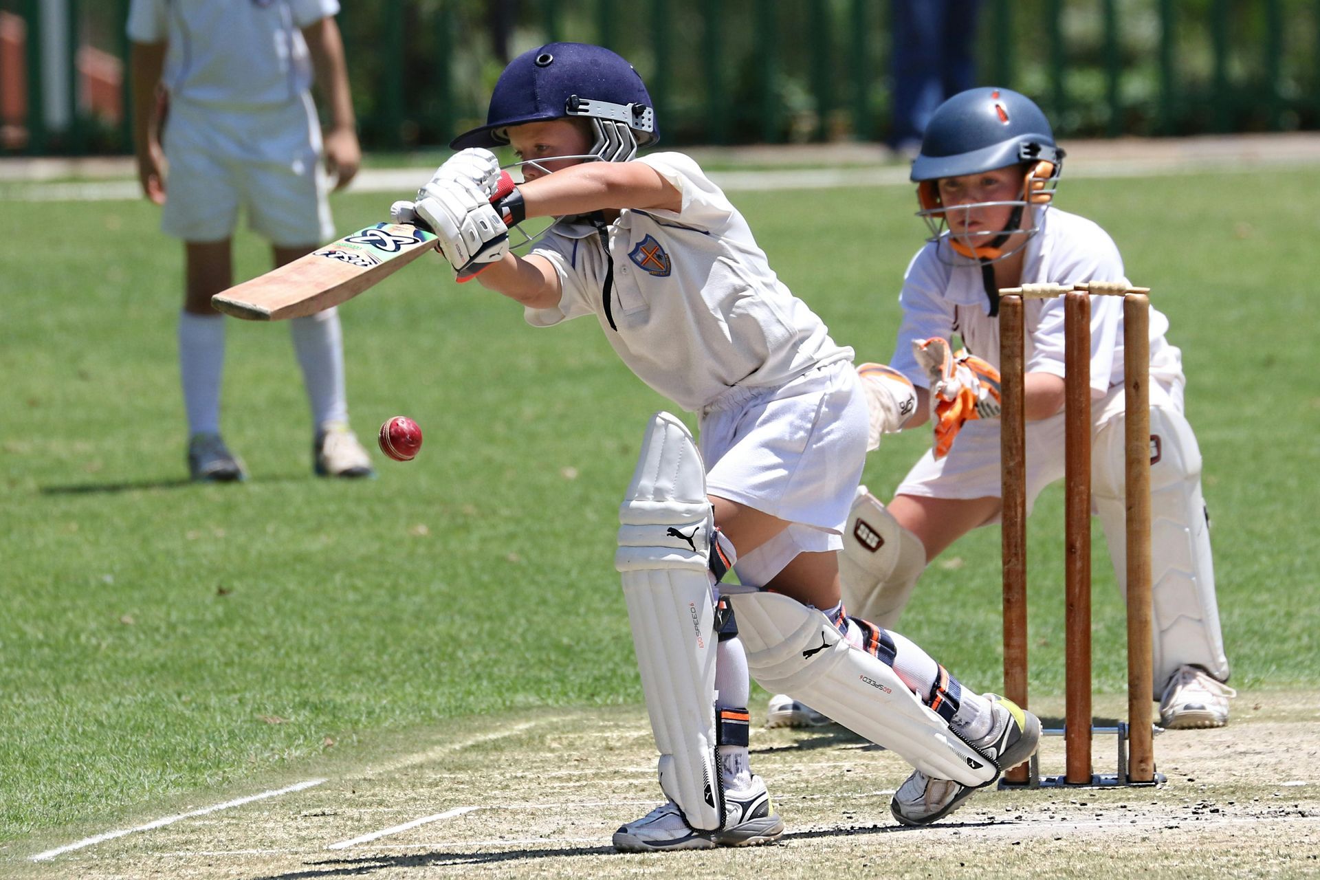 Cricket drive