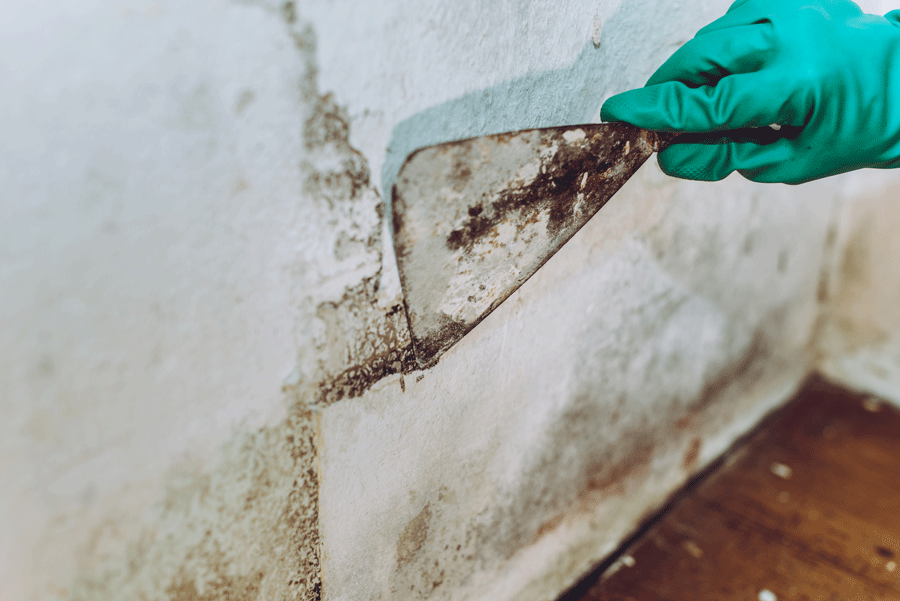 Water and Flood Damage Restoration — Oreland, PA — Thornton’s Carpentry