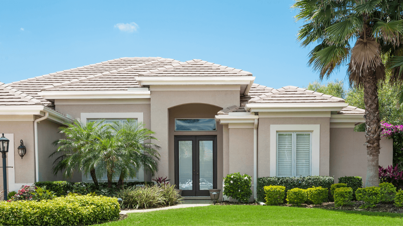 new palm tree in front of Pompano Beach FL house