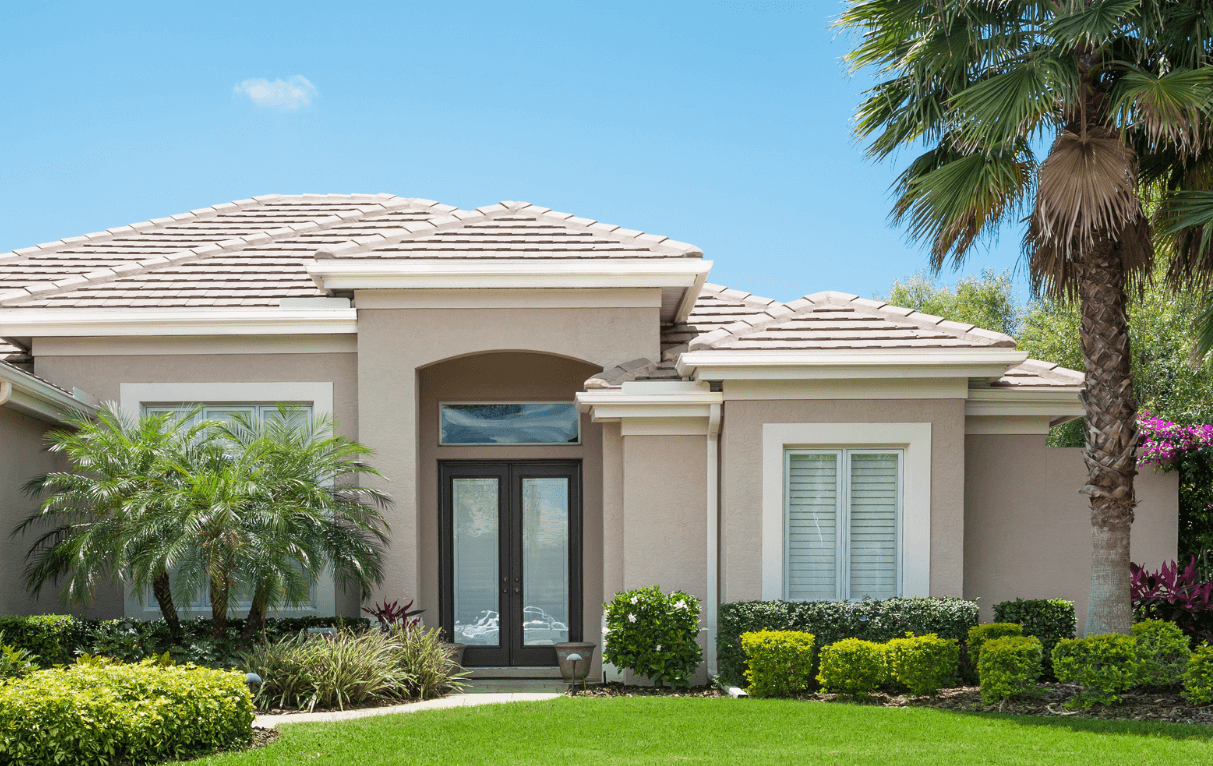 Palm tree planting in Pompano Beach, FL