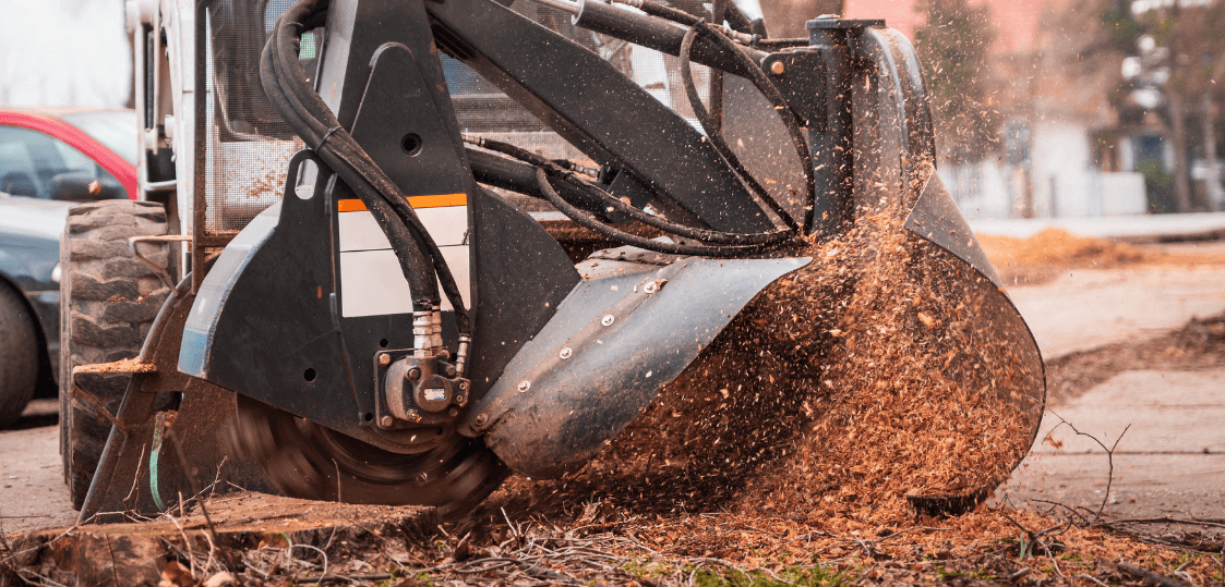 Stump Removal in Pompano Beach FL