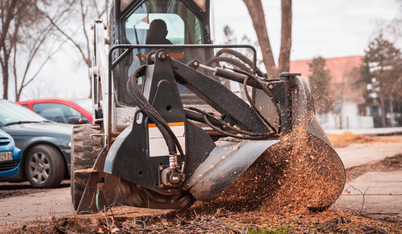Stump grinding in Pompano Beach, FL