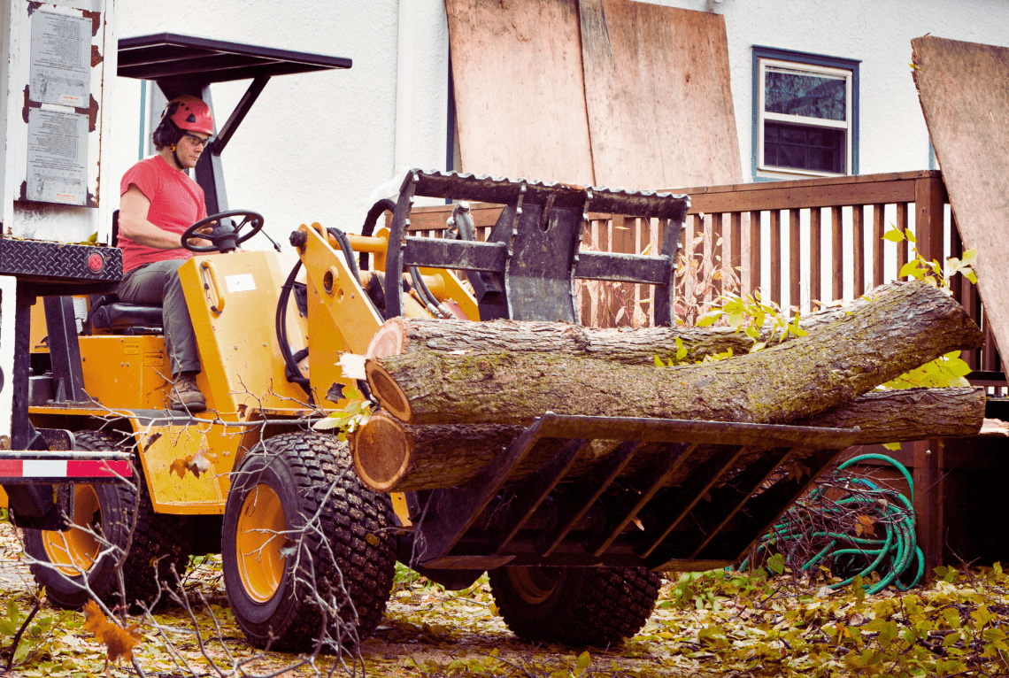 Tree removal in Pompano Beach, FL