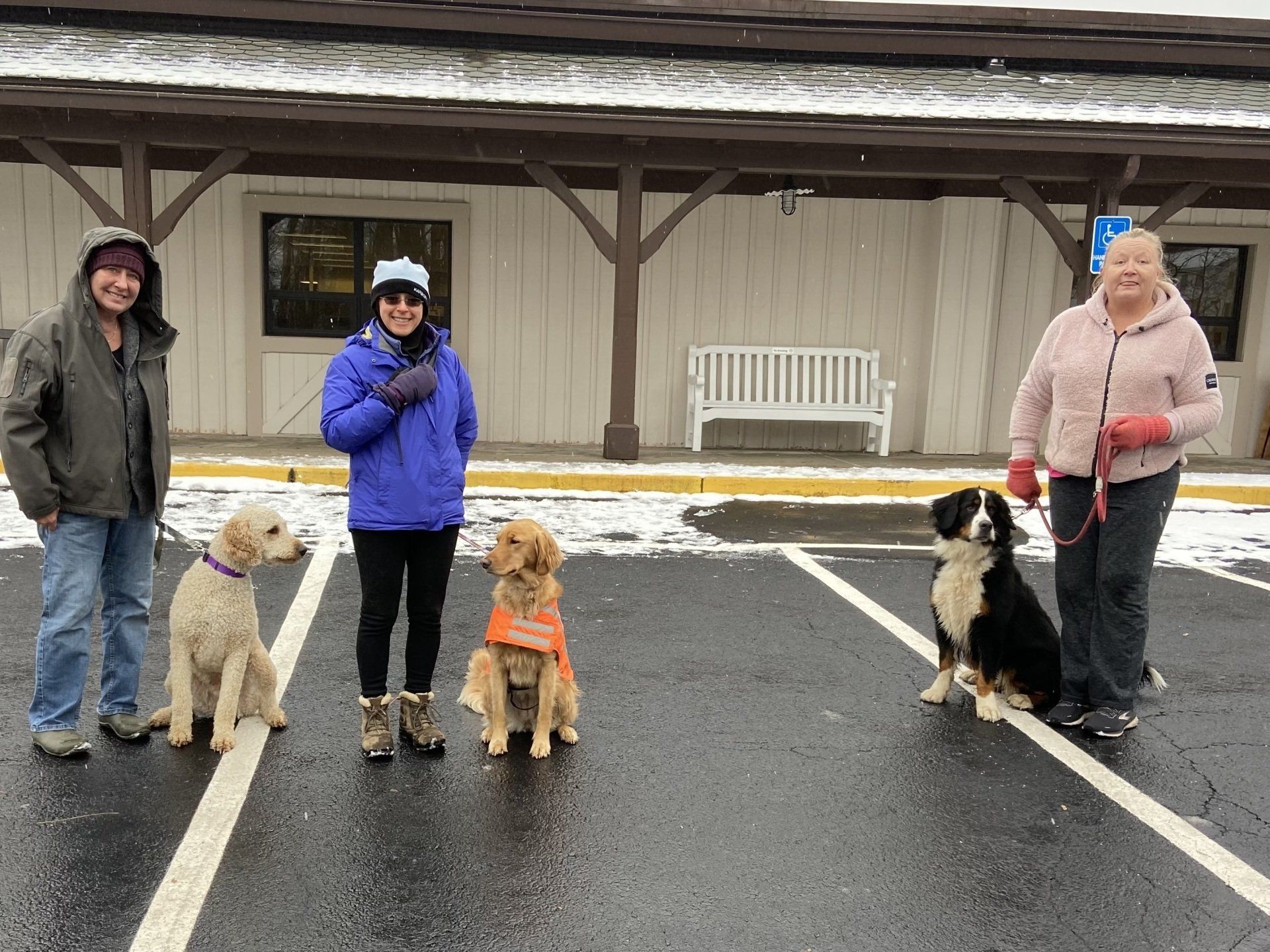 Welcome New Therapy Dogs! Therapy Dogs @ White Star Dog Training
