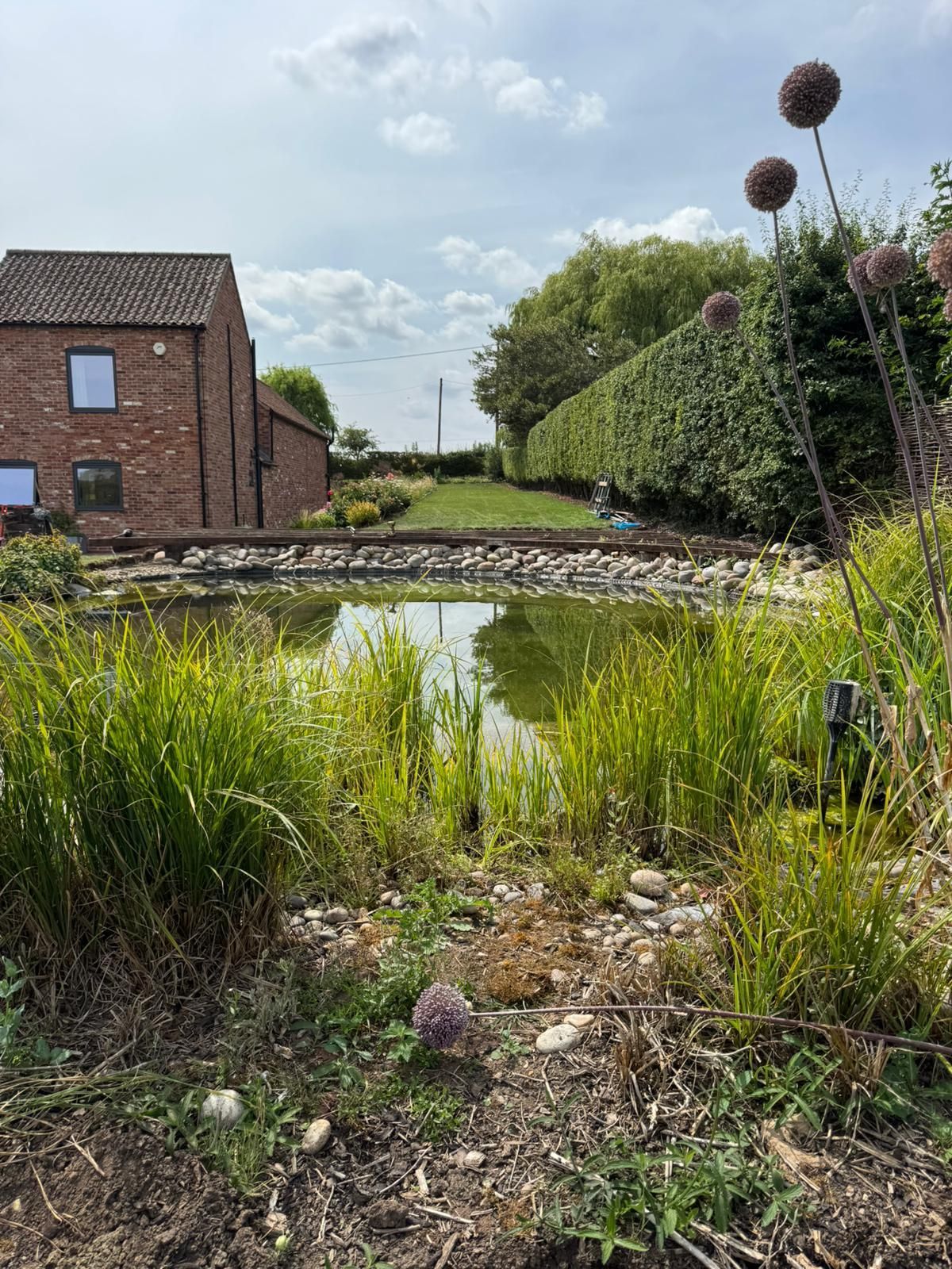 Pond with tall grasses in front of a brick building and a hedge, under a partly cloudy sky.