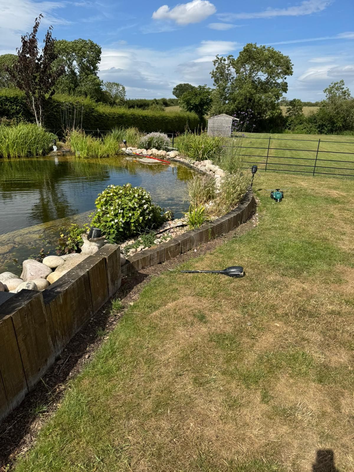 Lush pond with wooden border, green grass, and trees under a blue sky with fluffy clouds.