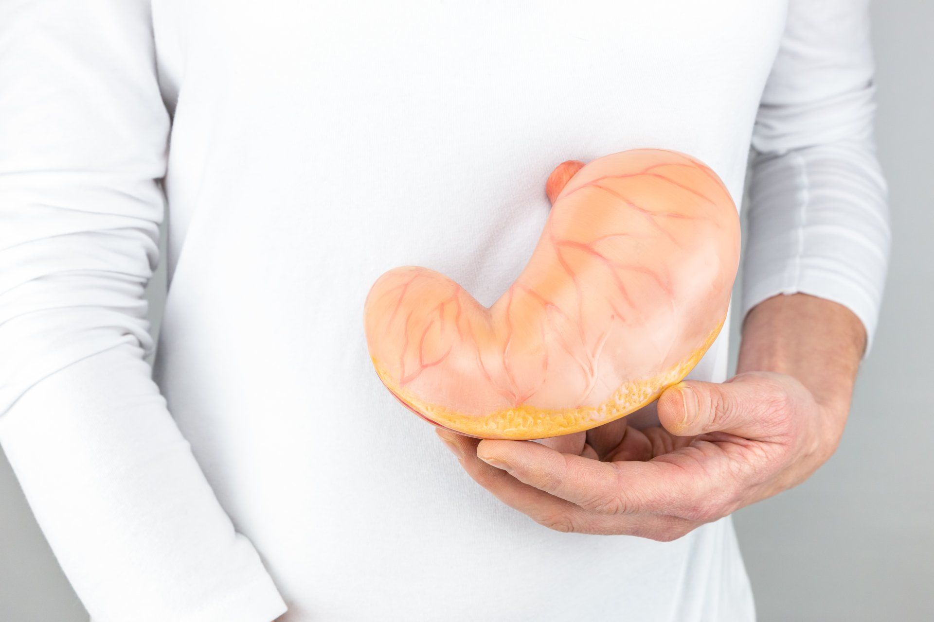 Person holding a fake stomach in thier hand.