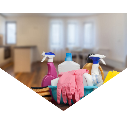 Cleaning Services