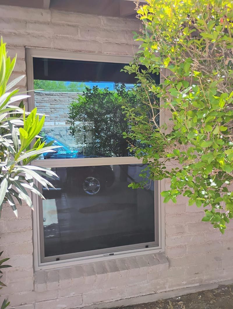 House window partly shaded by trees, reflecting blue sky and greenery.