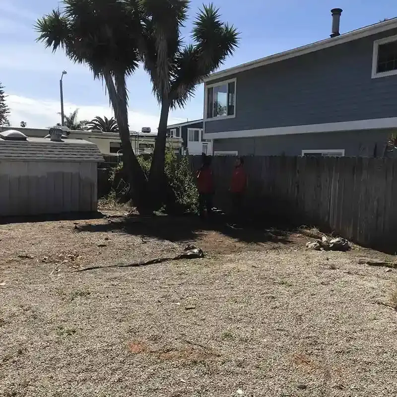Shed Demolition After