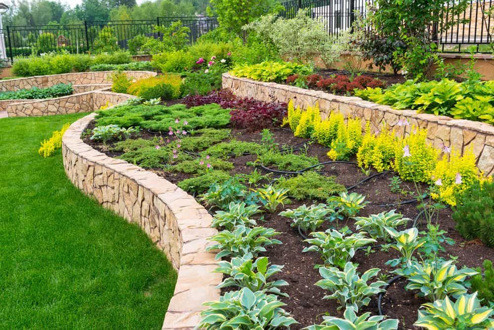 A Garden With Lots of Plants and a Stone Wall — Ourimbah Landscape Supplies In Ourimbah, NSW