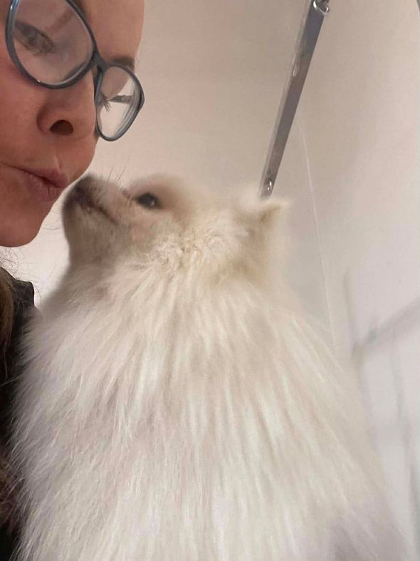 Kirstin gets a kiss from a happy pomeranian client