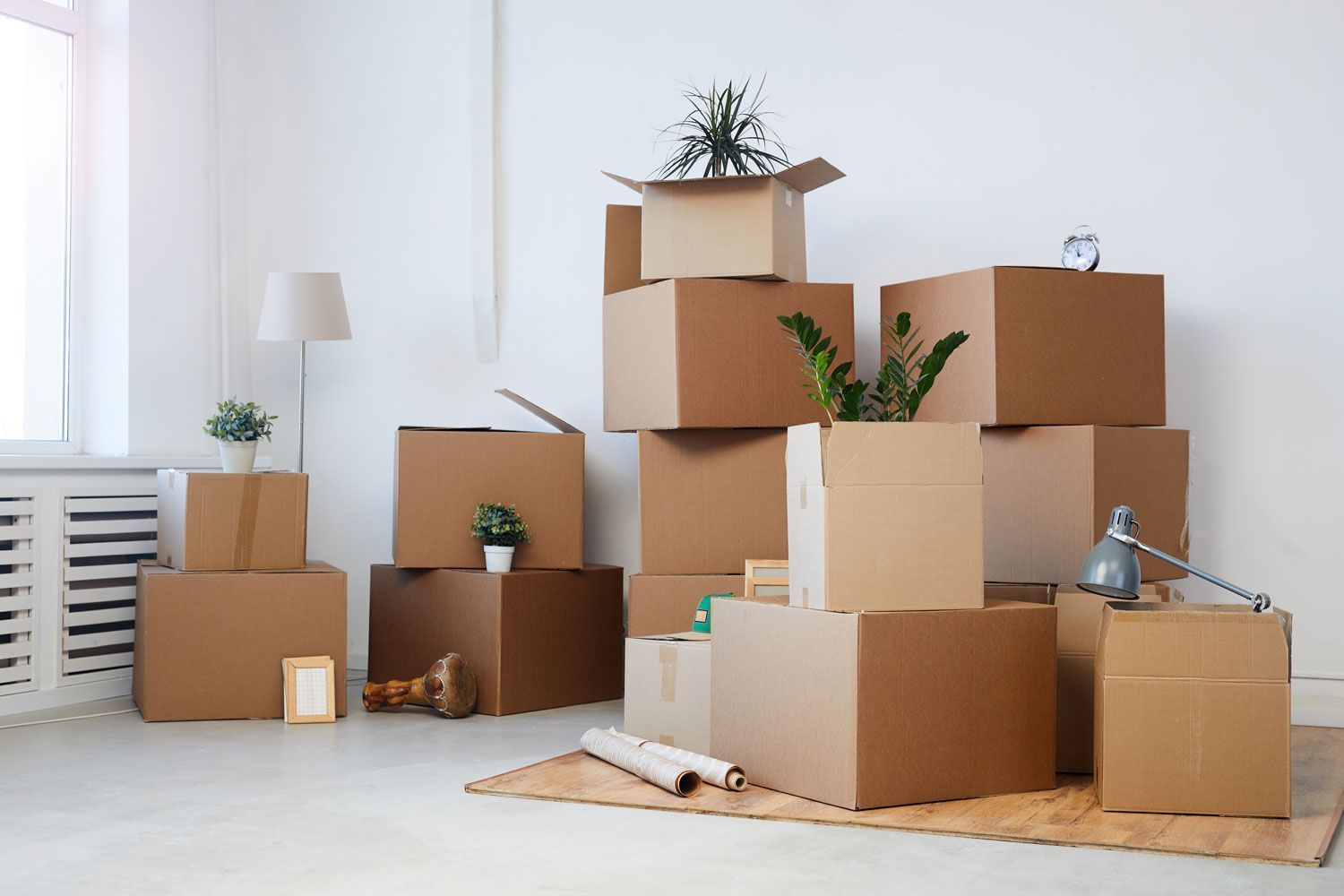 Cardboard moving boxes stacked in a bright room, with potted plants and unpacked household items