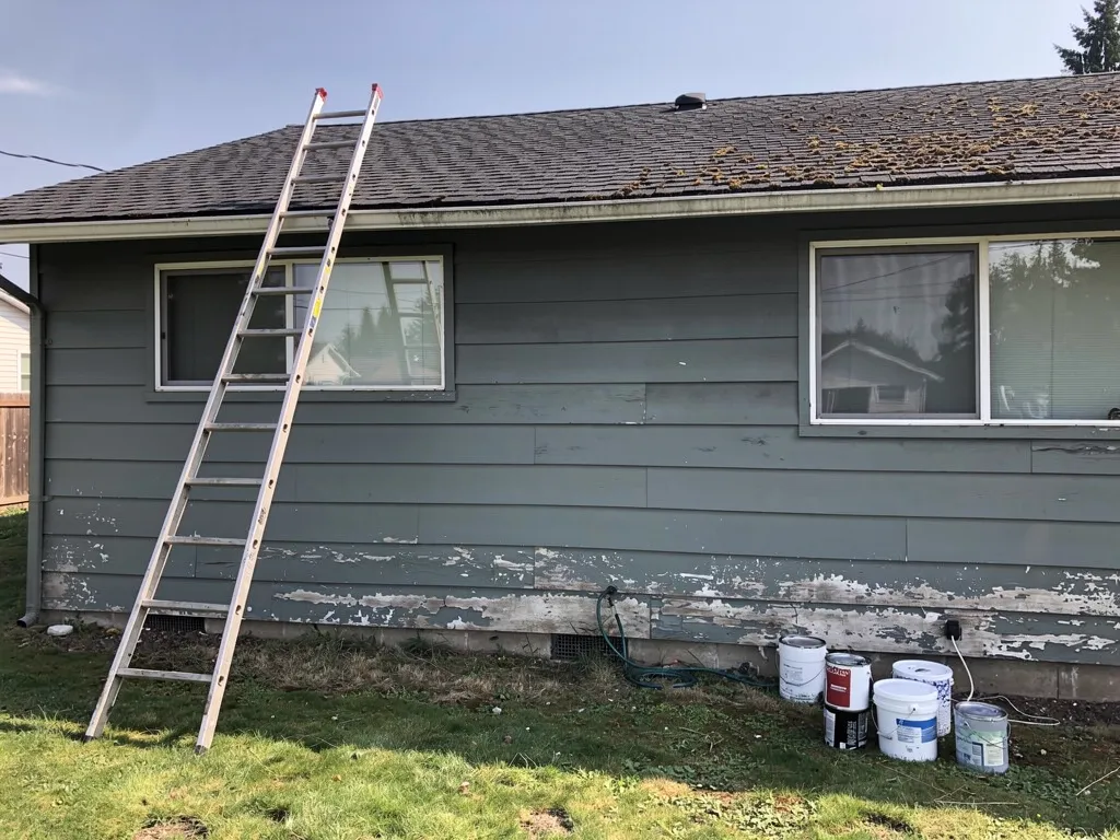 Fixer-upper house in need of siding repairs and fresh paint sold as-is
