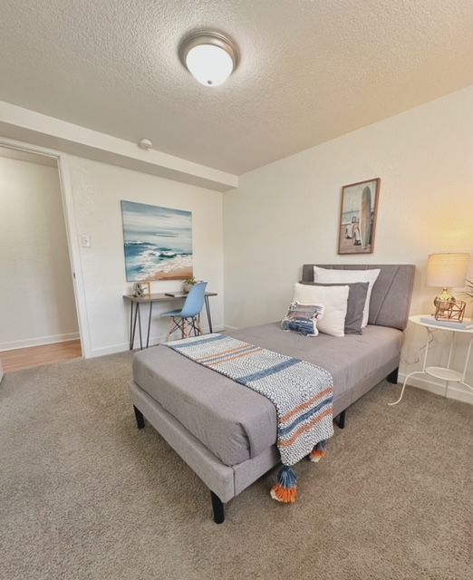 A bedroom with a single bed and a desk