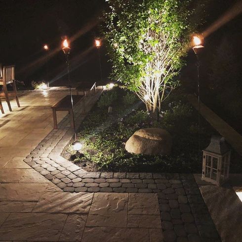 Nighttime outdoor scene with lit tree and pathway, illuminated by torches and lights.