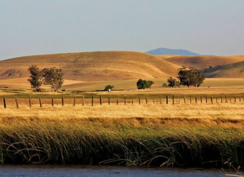 A fence surrounds a field with mountains in the background