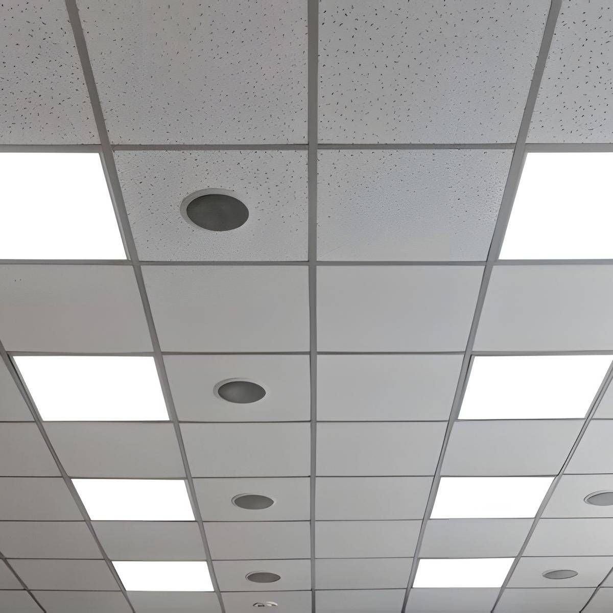 A drop ceiling with a grid of white square LED light panels and circular recessed speakers or sensors.