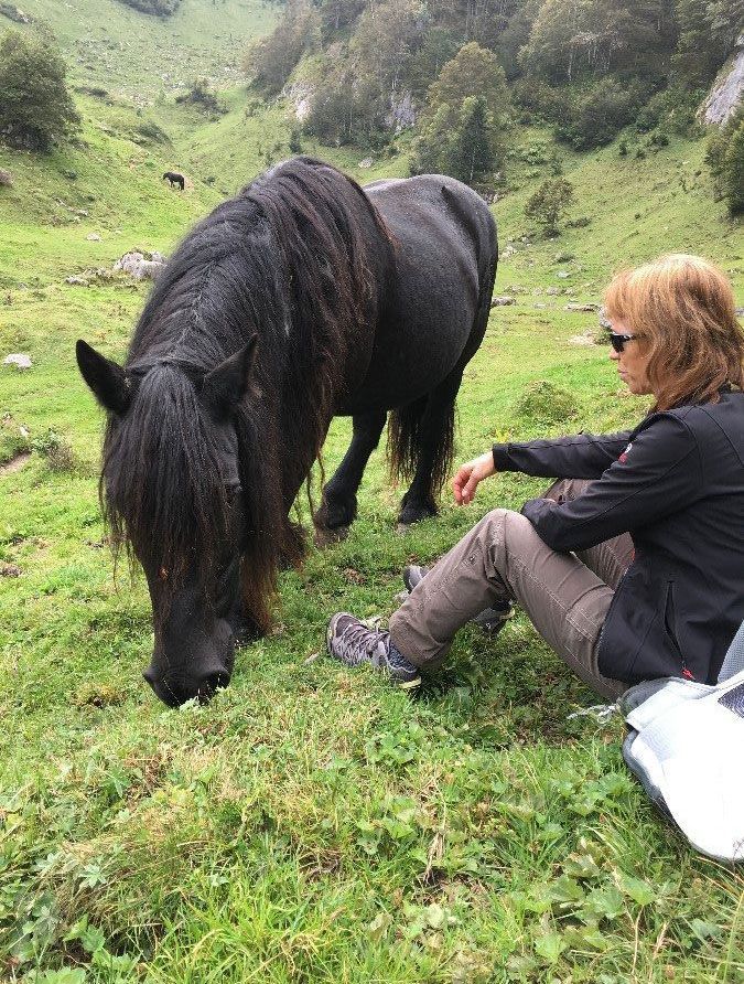 Woman and a Horse Eating Grass — Reno, NV — E3A Equine Experiential