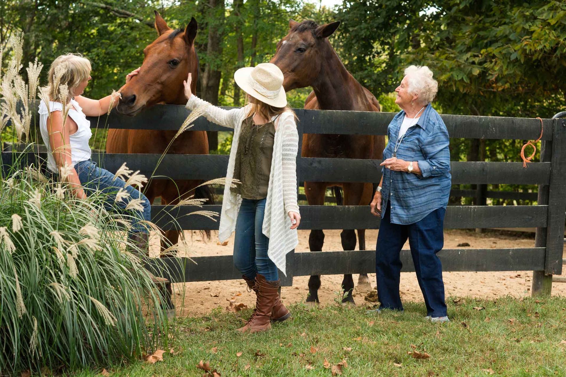 Three Women Touching Horses Behind the Fence — Reno, NV — E3A Equine Experiential Three Women Touching Horses Behind the Fence — Reno, NV — E3A Equine Experiential