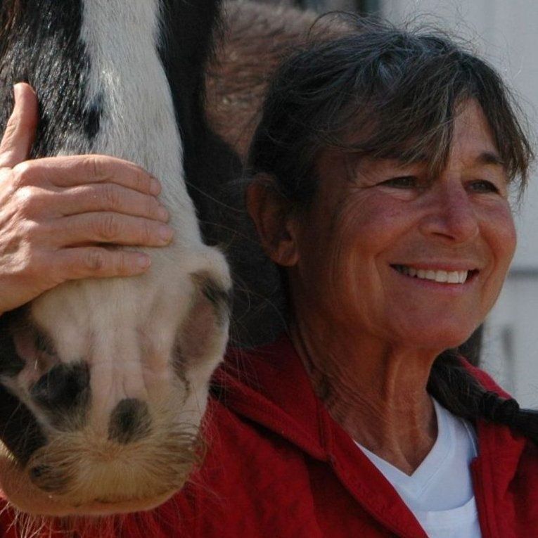 Jackie Stevenson — Reno, NV — E3A Equine Experiential