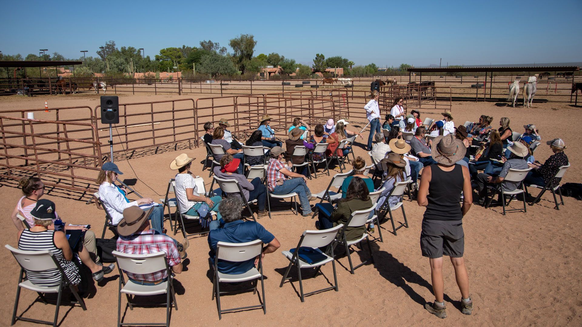 Equine Experiential Association Members — Reno, NV — E3A Equine Experiential
