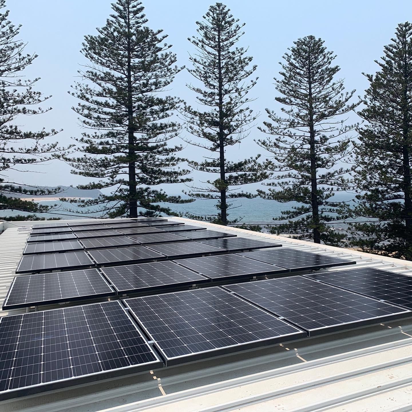 A Person Is Holding A Thermometer In Front Of A Field Of Solar Panels — Forster Solar and Lighting In Nabiac, NSW