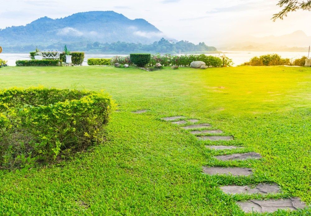 Lush Green Lawn with Stone Path Leading to A Garden — Banksia Turf in Port Macquarie, NSW