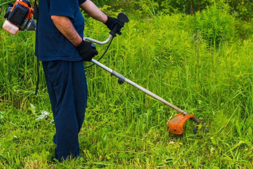 Person Uses a String Trimmer to Cut Tall, Green Grass — Banksia Turf In Bulahdelah, NSW