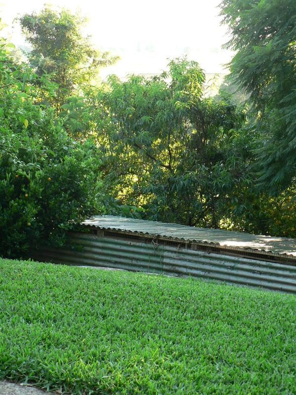 A Green Field Covered With Grass and Some Trees — Banksia Turf in Upper Lansdowne, NSW