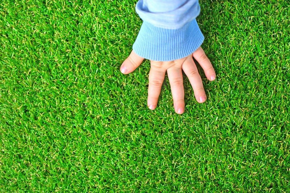 Hand Touches Vibrant Green Grass — Banksia Turf In Smiths Lake, NSW