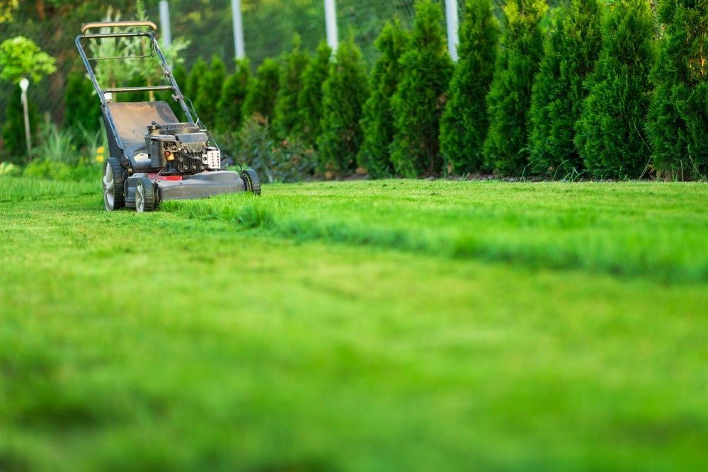 Lawnmower Cutting Grass in A Green Yard, with Trees in The Background — Banksia Turf in Taree, NSW