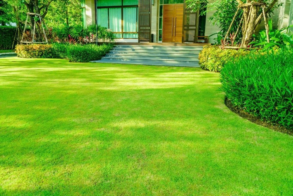 Green Lawn Leads to a Modern House Entrance — Banksia Turf In Bulahdelah, NSW