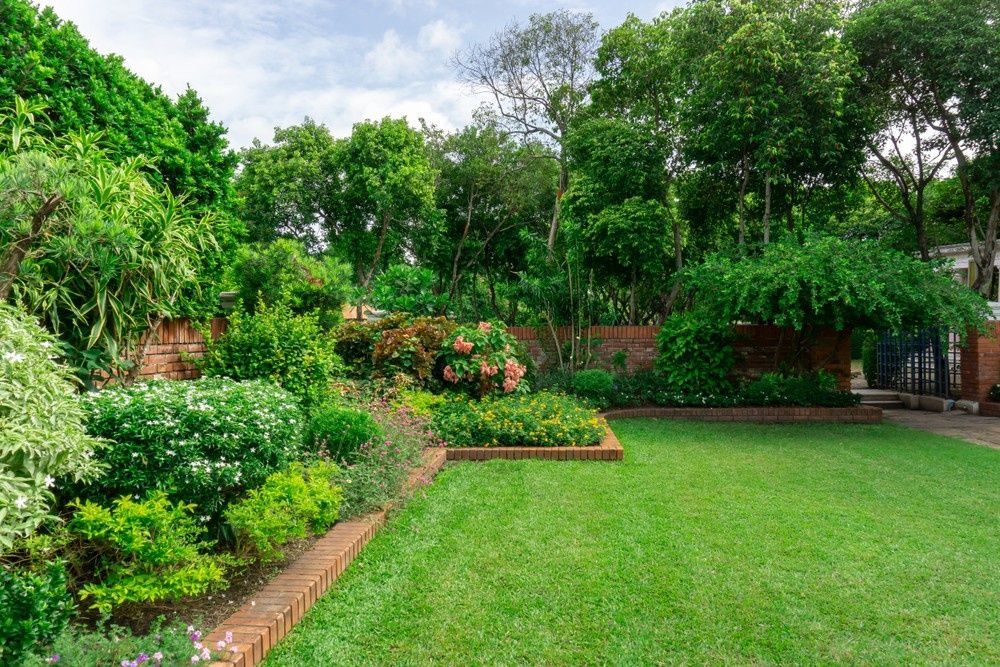 Lush Garden With Vibrant Greenery and Colourful Flowers — Banksia Turf In Lake Cathie, NSW