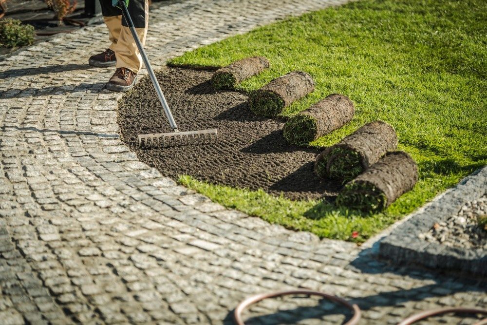 Worker Landscaper Rakes Soil in a Stone-paved Garden — Banksia Turf In Lake Cathie, NSW