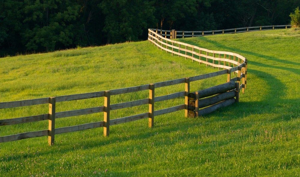 Wooden Fence Curves Across a Grassy Field — Banksia Turf in Forster, NSW