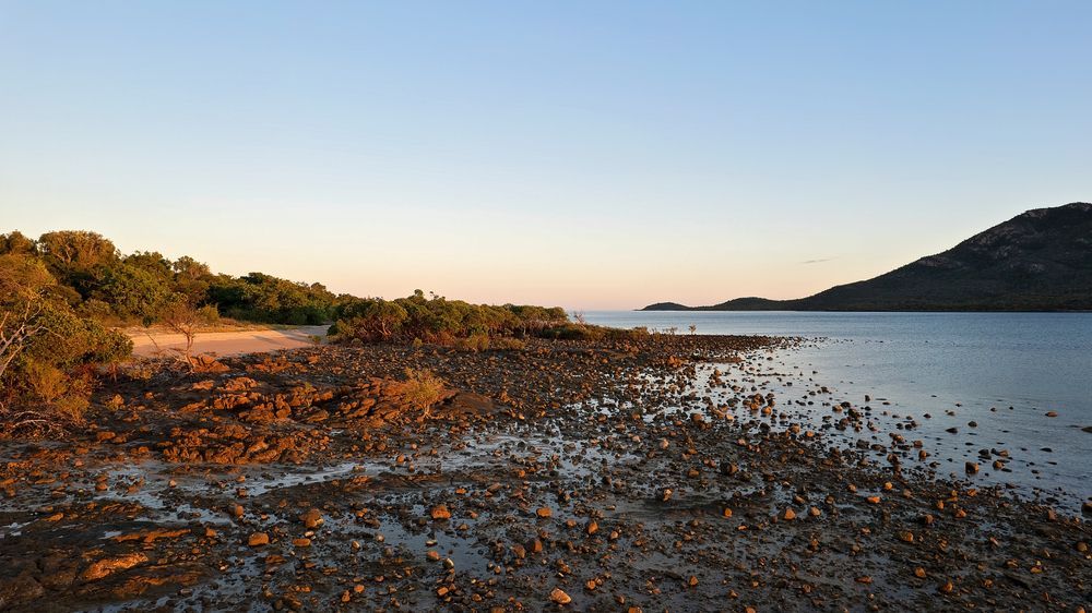 Rocky Shoreline at Sunset With Scattered Stones — Banksia Turf In Gloucester, NSW